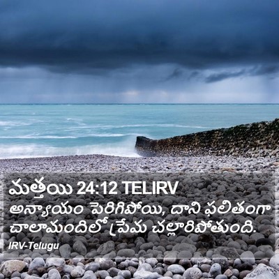 మత్తయి 24:12 TELIRV Bible Verse Image