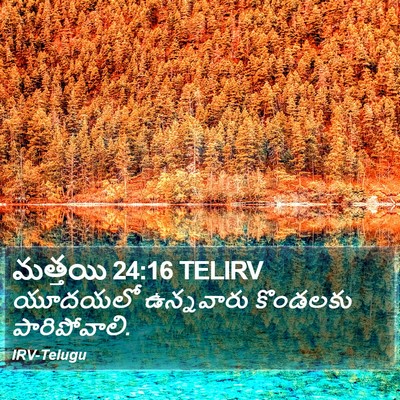 మత్తయి 24:16 TELIRV Bible Verse Image