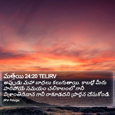 మత్తయి 24:20 TELIRV Bible Verse Image