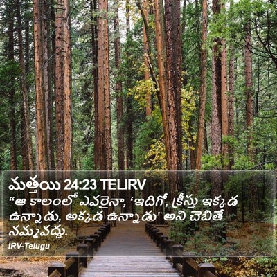 మత్తయి 24:23 TELIRV Bible Verse Image