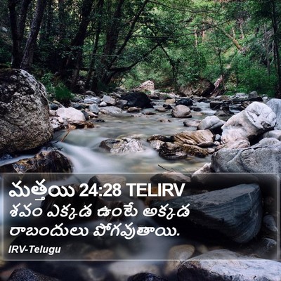 మత్తయి 24:28 TELIRV Bible Verse Image