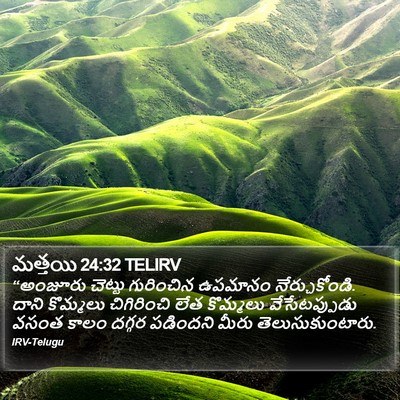 మత్తయి 24:32 TELIRV Bible Verse Image