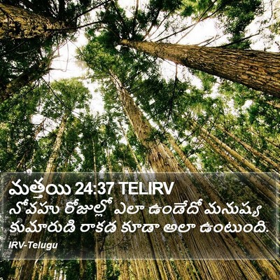 మత్తయి 24:37 TELIRV Bible Verse Image