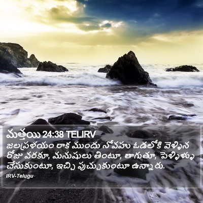 మత్తయి 24:38 TELIRV Bible Verse Image