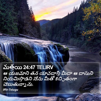 మత్తయి 24:47 TELIRV Bible Verse Image