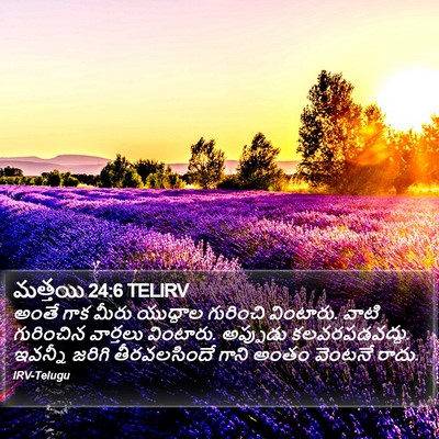 మత్తయి 24:6 TELIRV Bible Verse Image