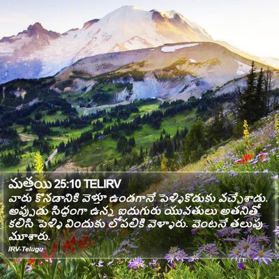 మత్తయి 25:10 TELIRV Bible Verse Image