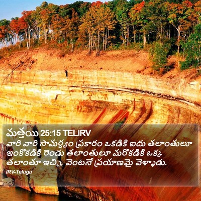 మత్తయి 25:15 TELIRV Bible Verse Image