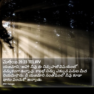 మత్తయి 25:23 TELIRV Bible Verse Image