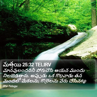 మత్తయి 25:32 TELIRV Bible Verse Image