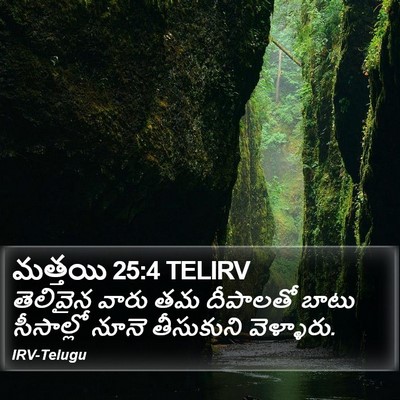 మత్తయి 25:4 TELIRV Bible Verse Image