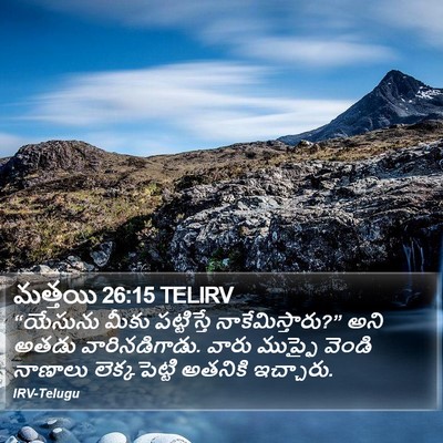 మత్తయి 26:15 TELIRV Bible Verse Image