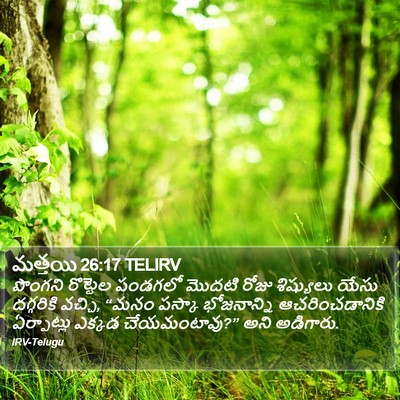 మత్తయి 26:17 TELIRV Bible Verse Image