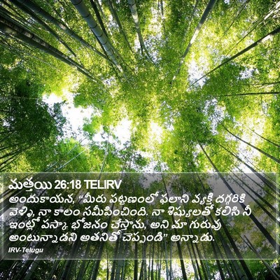 మత్తయి 26:18 TELIRV Bible Verse Image