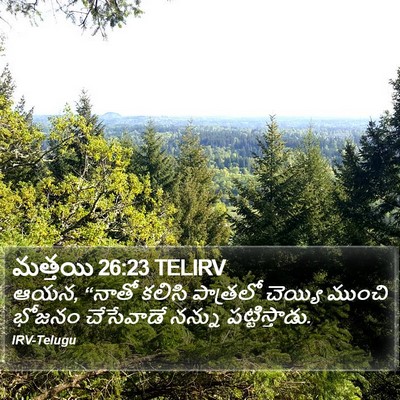 మత్తయి 26:23 TELIRV Bible Verse Image