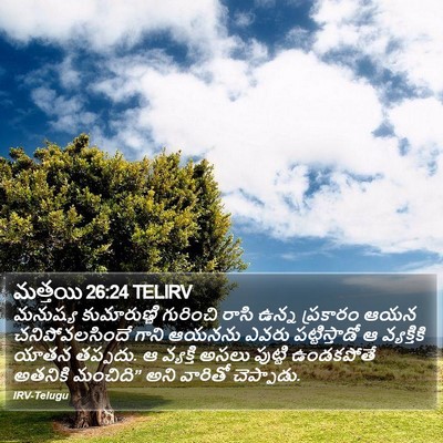 మత్తయి 26:24 TELIRV Bible Verse Image