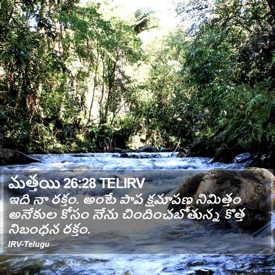 మత్తయి 26:28 TELIRV Bible Verse Image