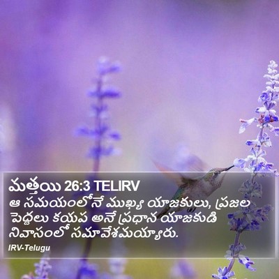 మత్తయి 26:3 TELIRV Bible Verse Image