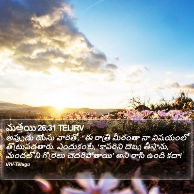 మత్తయి 26:31 TELIRV Bible Verse Image