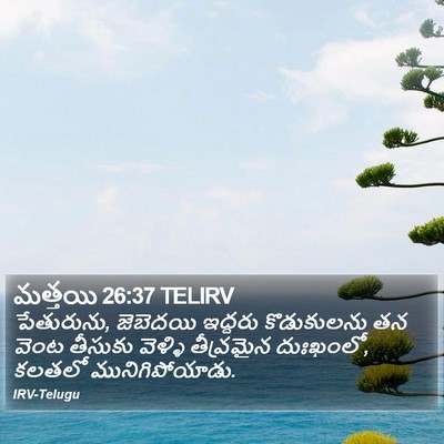 మత్తయి 26:37 TELIRV Bible Verse Image
