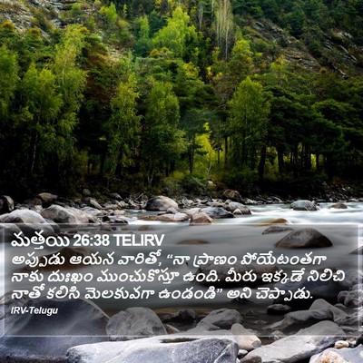 మత్తయి 26:38 TELIRV Bible Verse Image