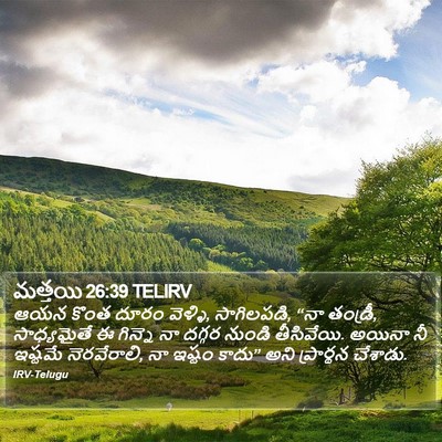మత్తయి 26:39 TELIRV Bible Verse Image