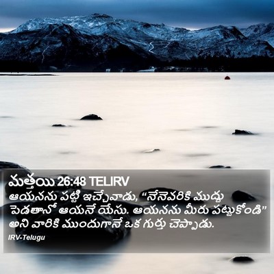 మత్తయి 26:48 TELIRV Bible Verse Image