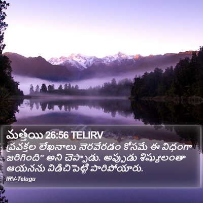 మత్తయి 26:56 TELIRV Bible Verse Image