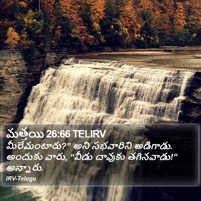 మత్తయి 26:66 TELIRV Bible Verse Image