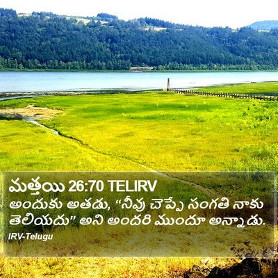 మత్తయి 26:70 TELIRV Bible Verse Image