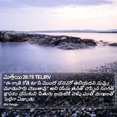 మత్తయి 26:75 TELIRV Bible Verse Image