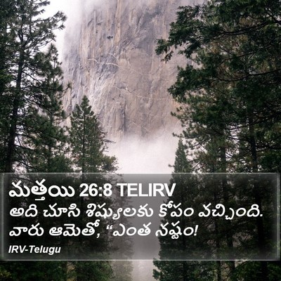 మత్తయి 26:8 TELIRV Bible Verse Image