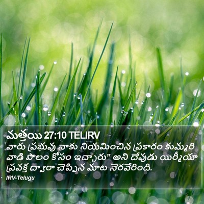 మత్తయి 27:10 TELIRV Bible Verse Image