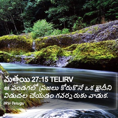 మత్తయి 27:15 TELIRV Bible Verse Image