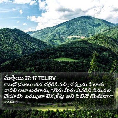 మత్తయి 27:17 TELIRV Bible Verse Image