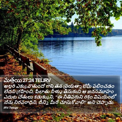 మత్తయి 27:24 TELIRV Bible Verse Image