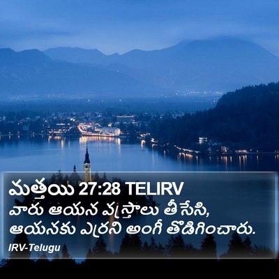 మత్తయి 27:28 TELIRV Bible Verse Image