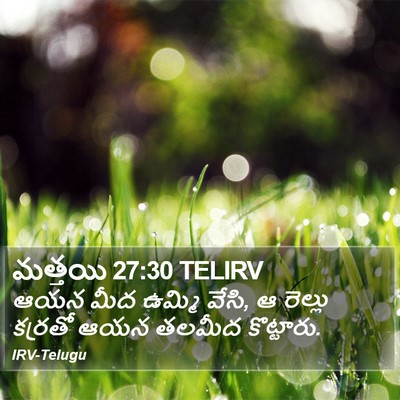 మత్తయి 27:30 TELIRV Bible Verse Image