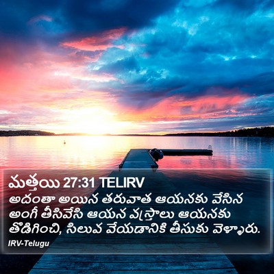 మత్తయి 27:31 TELIRV Bible Verse Image