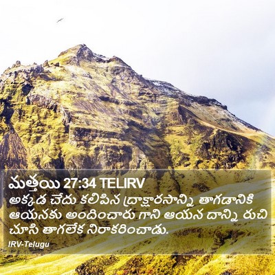 మత్తయి 27:34 TELIRV Bible Verse Image