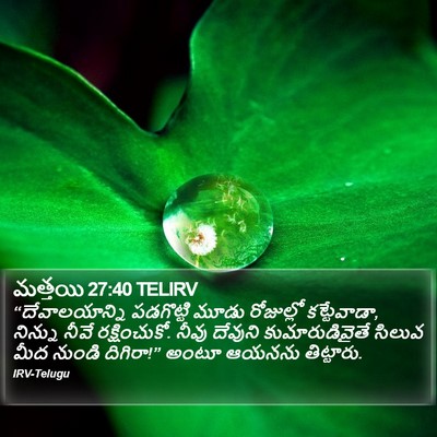 మత్తయి 27:40 TELIRV Bible Verse Image