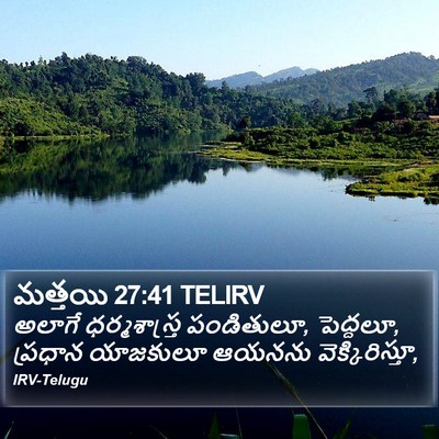 మత్తయి 27:41 TELIRV Bible Verse Image