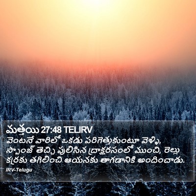 మత్తయి 27:48 TELIRV Bible Verse Image