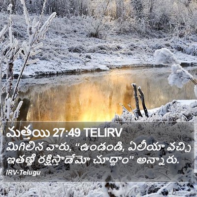 మత్తయి 27:49 TELIRV Bible Verse Image