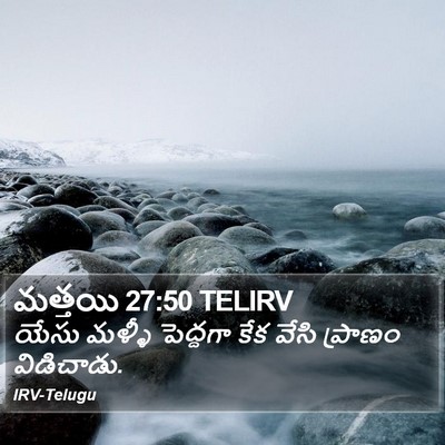 మత్తయి 27:50 TELIRV Bible Verse Image