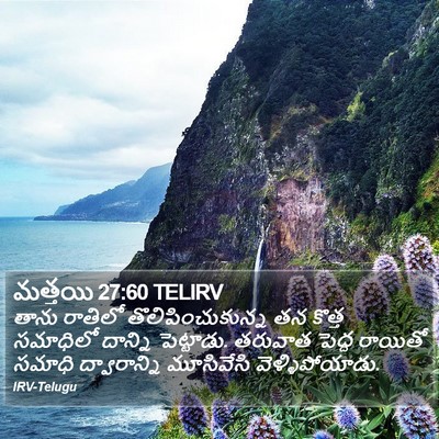 మత్తయి 27:60 TELIRV Bible Verse Image