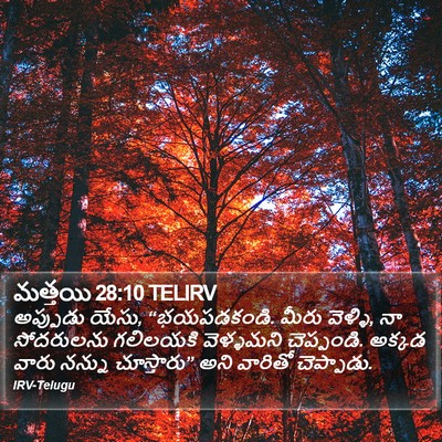 మత్తయి 28:10 TELIRV Bible Verse Image