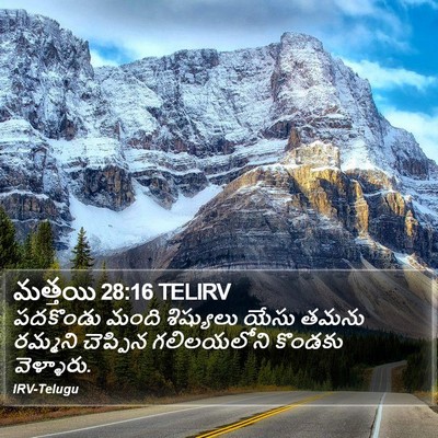 మత్తయి 28:16 TELIRV Bible Verse Image