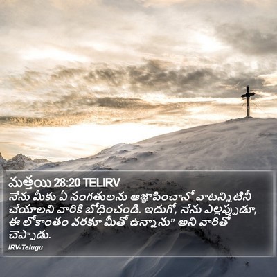 మత్తయి 28:20 TELIRV Bible Verse Image