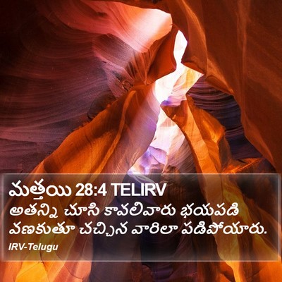 మత్తయి 28:4 TELIRV Bible Verse Image